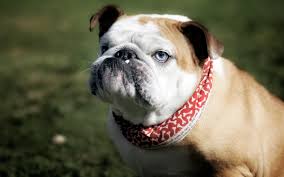 Когда до пенсии еще далеко, а стресс уже рядом.