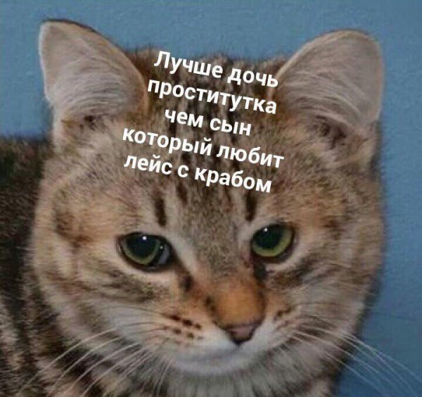 Приколы в стиле "регресс"