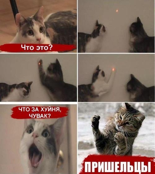 Юмор для многоклеточных. Дурацкие картинки (но это не точно).