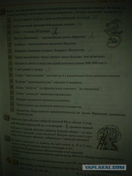 Задание по математике для 5 класса