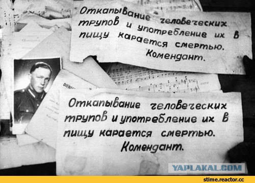 Самые известные случаи каннибализма ради выживания