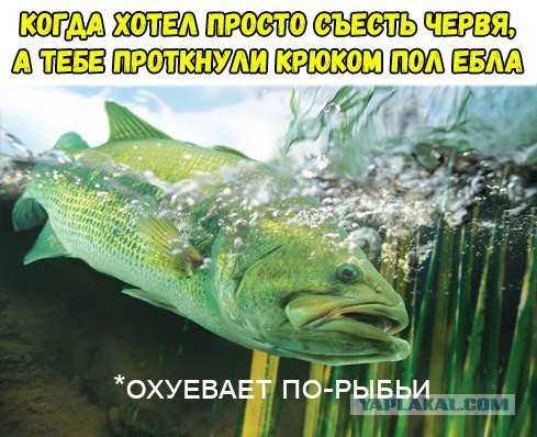 Четверг, давайте и подеградируем на четверть
