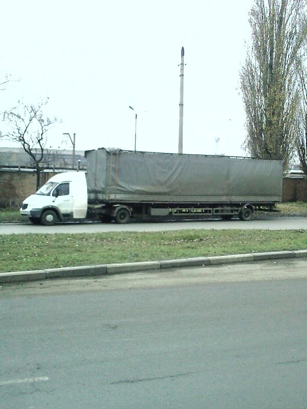 Необычная Газелька
