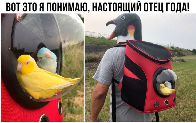 Нестандартный юмор