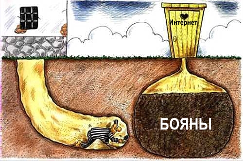 Немного картинок в этот вторник