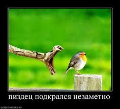 Анонимности интернета в Беларуси конец?