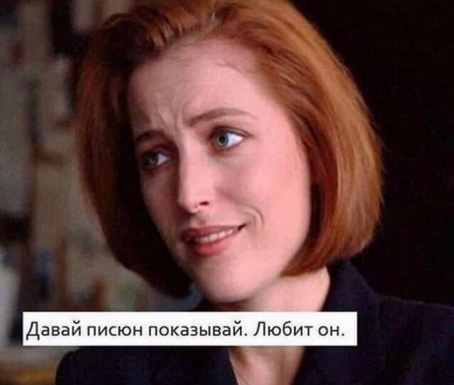 The special edition: Gillian Anderson