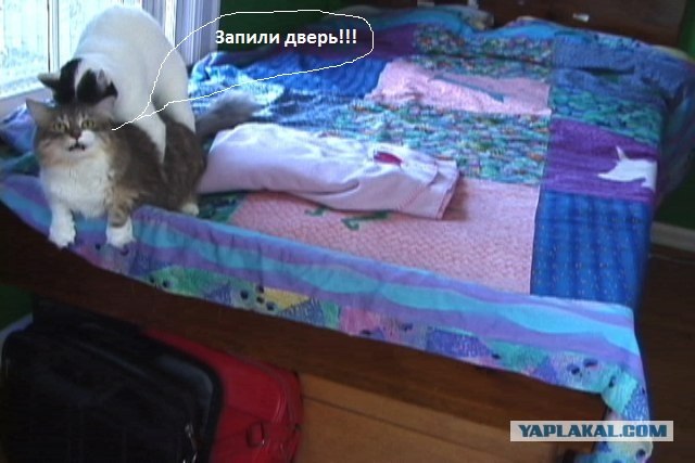 Только чистую постель застелил........