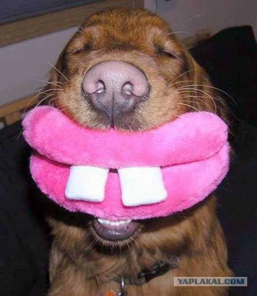 Улыбальник