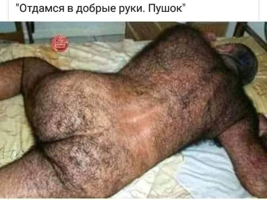 Немного картинок для настроения