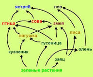 Когда дошла твоя очередь...