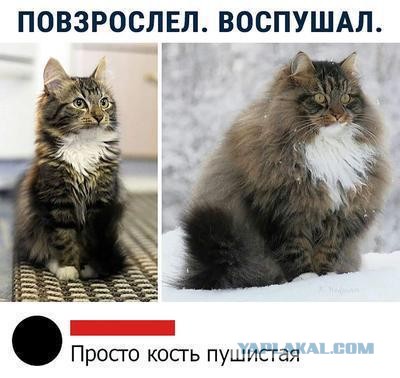 Горжусь тобой
