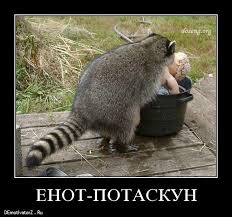 Почему жена не даёт? Что делать? Как с этим бороться?