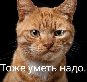 Пьяные доски – модели Плюс-сайз