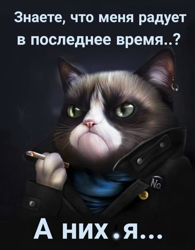 Европа приготовилась закрыть границы до осени