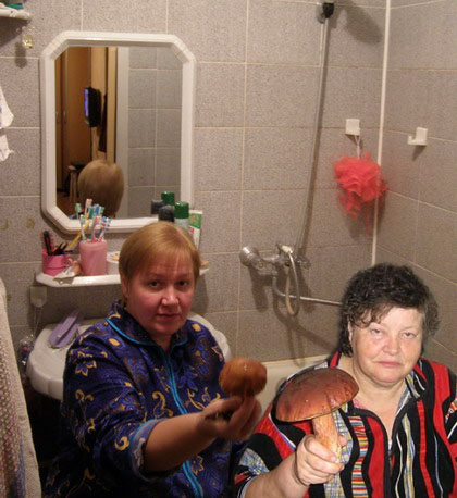 Фотожаба: Грибы на ноутбуке
