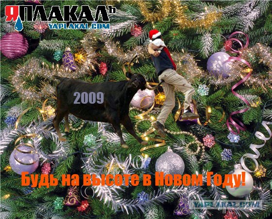 Новогодняя открытка от ЯПлакалъ