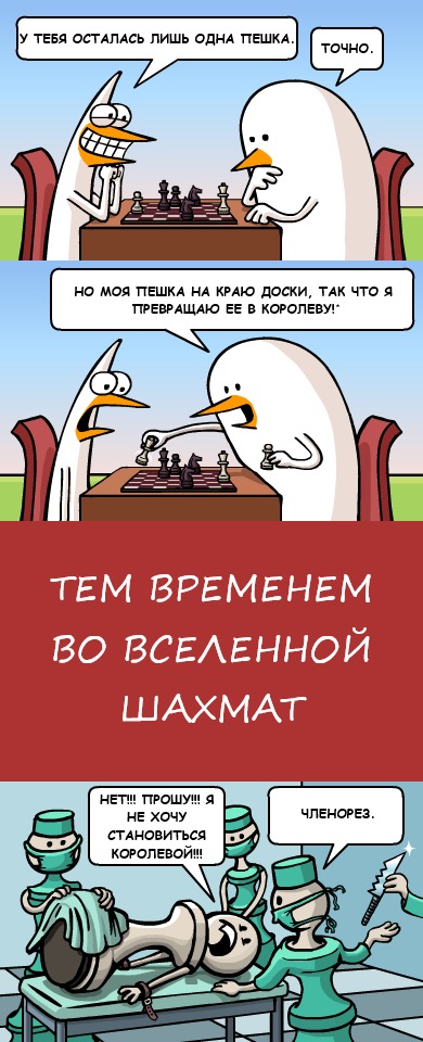 Немного картинок ниочом