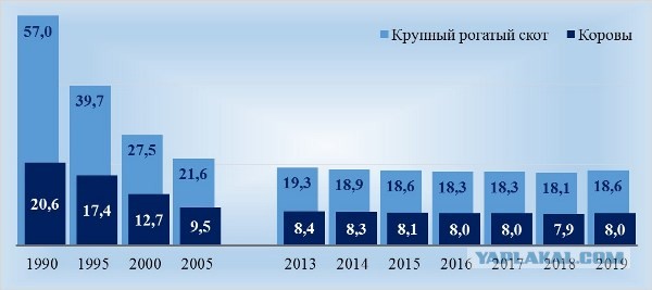 Хабаровский край не сдается (прямая трансляция)