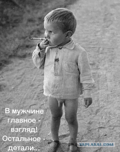 Ну привет, зятек