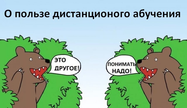 О пользе дистанционного образования