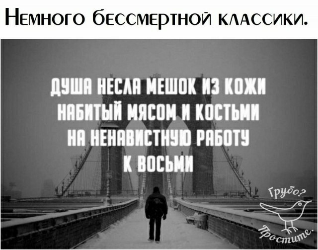 Бредзона 22.12.20