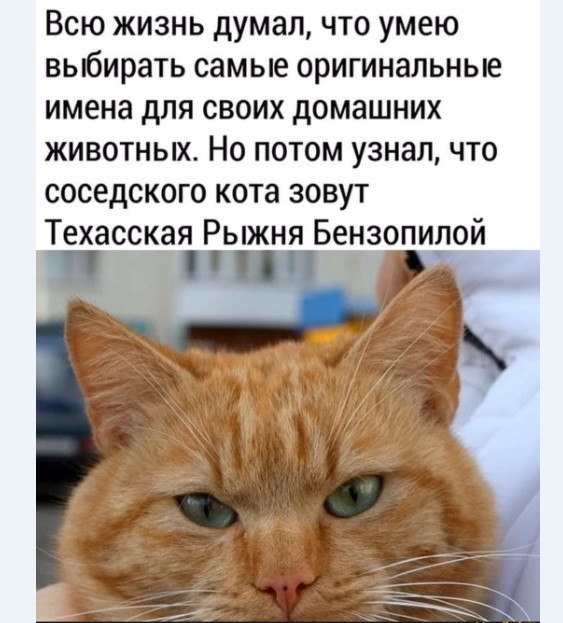 Картинки и мемы для настроения 019