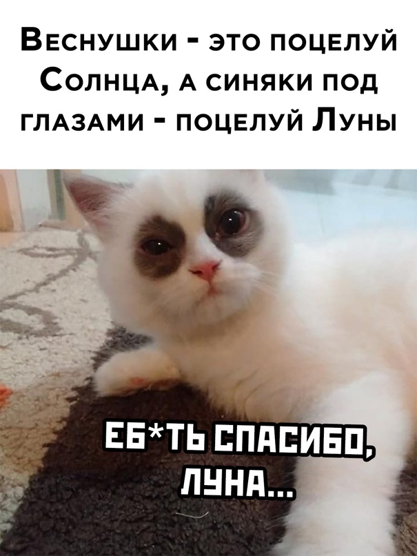 Весёлый полтишок 5.03