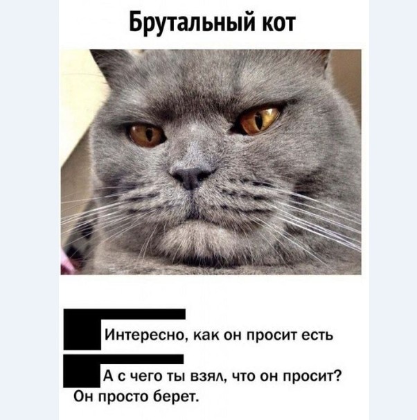 Картинки и мемы для настроения 018