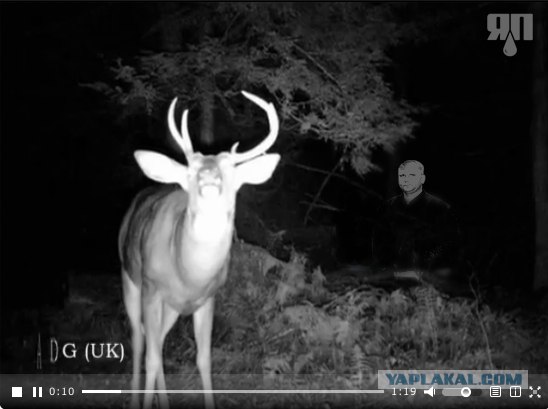 В лесу Пенсильвании засняли пришельца?