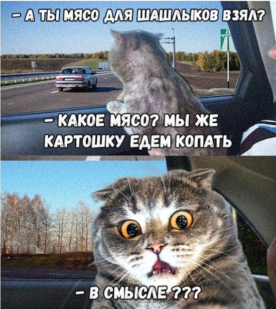 Так себе картинки 27.04.21