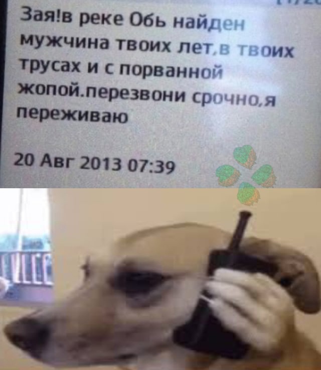 Весёлый полтишок 21.05