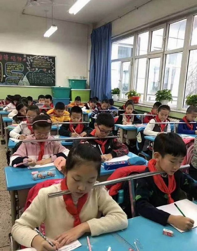 School