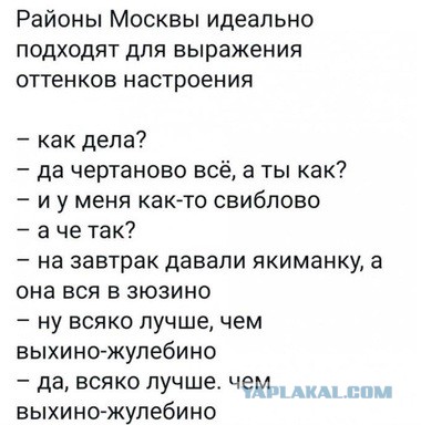 Юмор и прикольные картинки