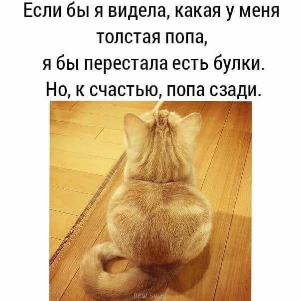 Картинки на понедельник 21.06.2021
