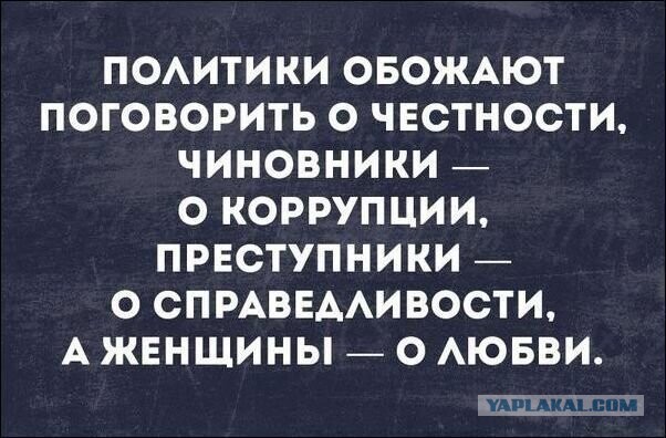 Весёлый полтишок 15.08