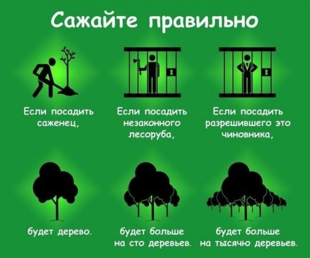 Картинки и мемы для настроения 31.08.2021