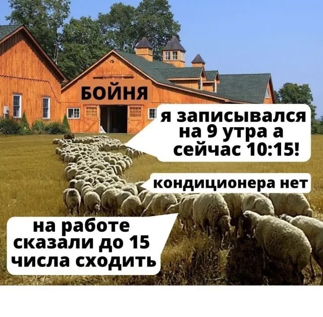 Вакцина и ограничения по Ковид