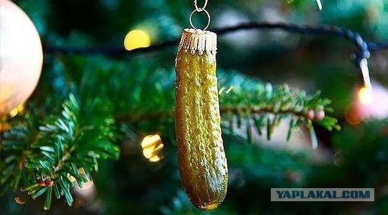 Всяческие картинки 29.12.2021