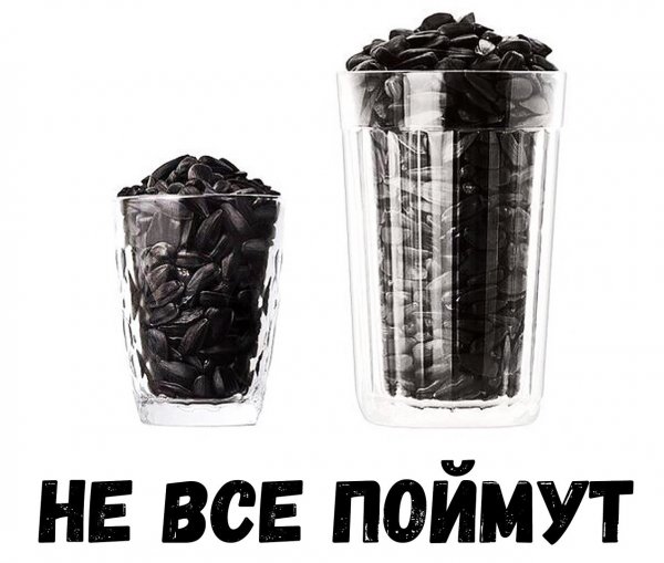 Весёлый полтишок 10.01