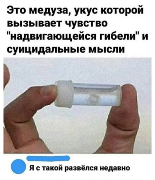 Так себе картинки 15.02.22