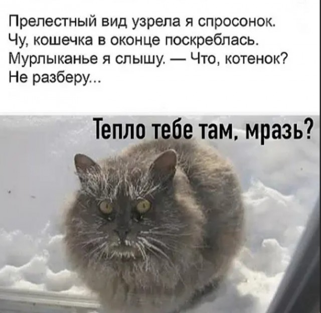 Весёлый полтишок 01.04