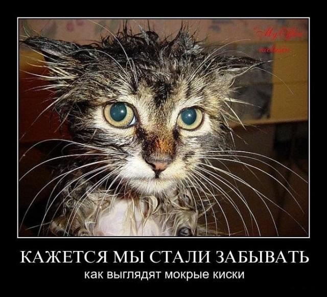 Немного картинок для настроения