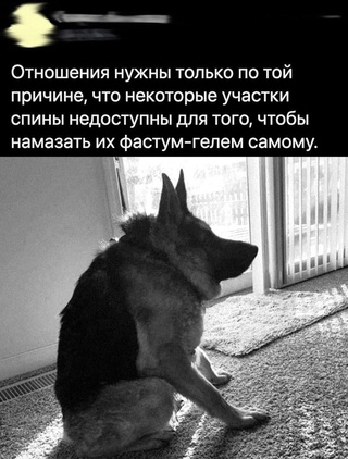 Картинки и мемы для настроения - 137