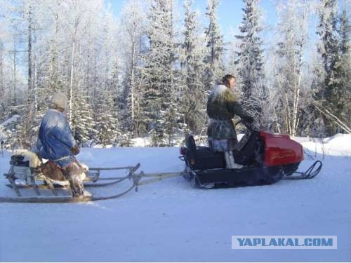 Буран- транспорт севера
