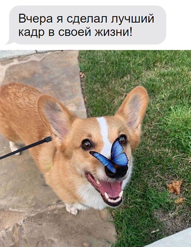 Картинки и мемы, это май-чародей всяко разно - 177