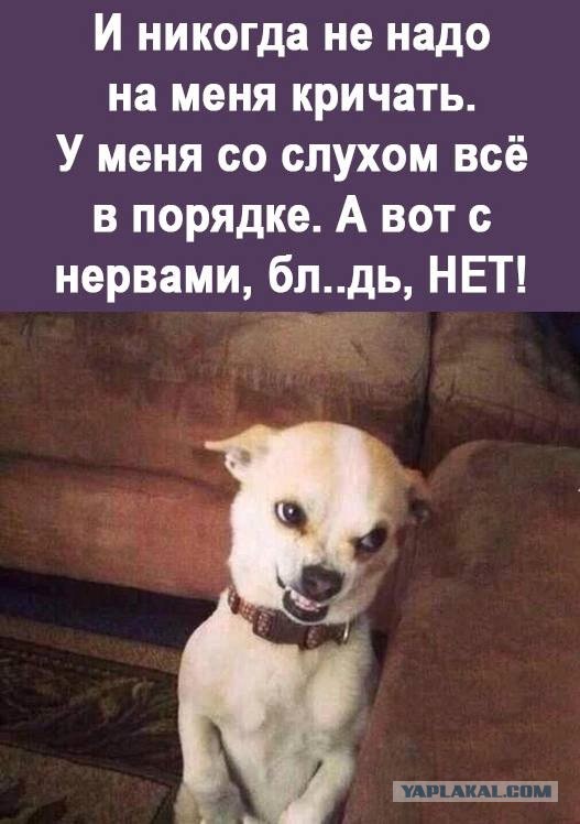 Забавные комментарии из социальных сетей (07.08.23)