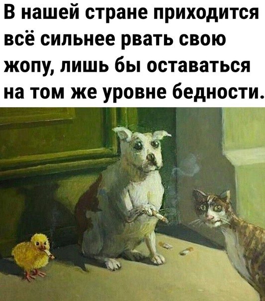 Забавные картинки, шутки из этих ваших интернетов