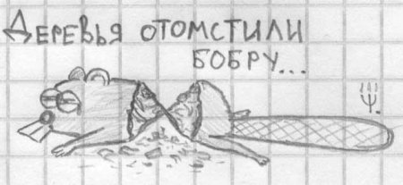 Байаны
