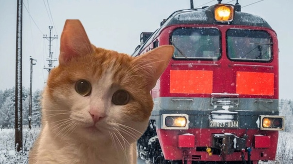 Чем закончилась история?